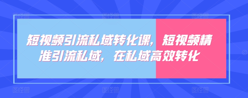 短视频引流私域转化课，短视频精准引流私域，在私域高效转化-九零网创