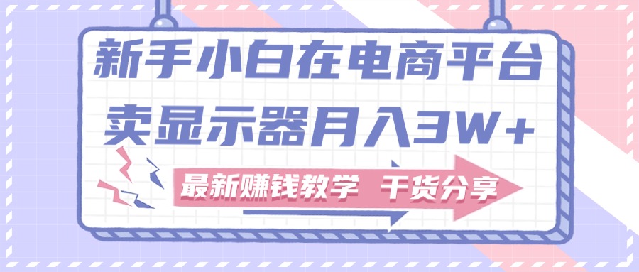 （11053期）新手小白如何做到在电商平台卖显示器月入3W+，最新赚钱教学干货分享-九零网创