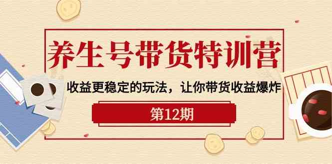 养生号带货特训营【12期】收益更稳定的玩法，让你带货收益爆炸（9节直播课）-九零网创