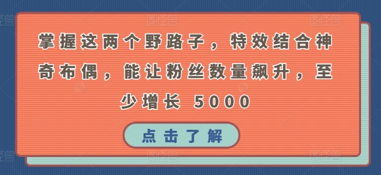 掌握这两个野路子，特效结合神奇布偶，能让粉丝数量飙升，至少增长 5000-九零网创