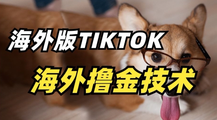 抖音海外版tiktok撸金技术，这个风口行业，赚钱真的不难-九零网创