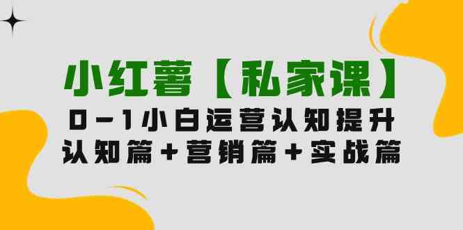 （9910期）小红薯【私家课】0-1玩赚小红书内容营销，认知篇+营销篇+实战篇（11节课）-九零网创