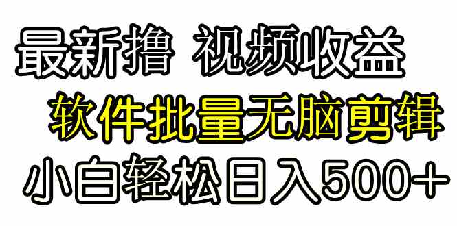 （9569期）发视频撸收益，软件无脑批量剪辑，第一天发第二天就有钱-九零网创
