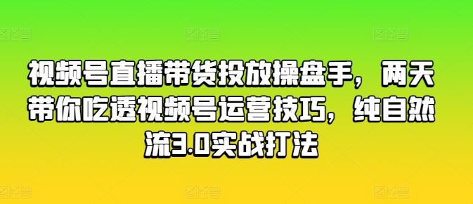 视频号直播带货投放操盘手，两天带你吃透视频号运营技巧，纯自然流3.0实战打法-九零网创