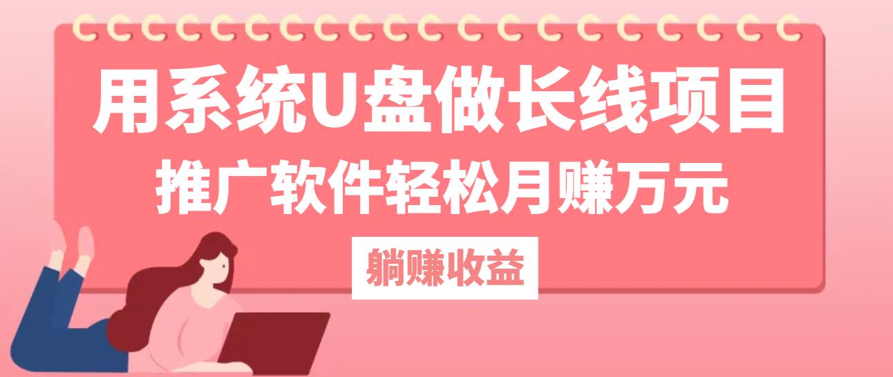 用系统U盘做长线项目，推广软件轻松月赚万元-九零网创