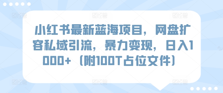 小红书最新蓝海项目，网盘扩容私域引流，暴力变现，日入1000+（附100T占位文件）-九零网创