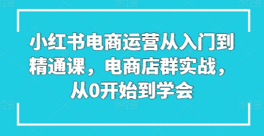 小红书电商运营从入门到精通课，电商店群实战，从0开始到学会-九零网创