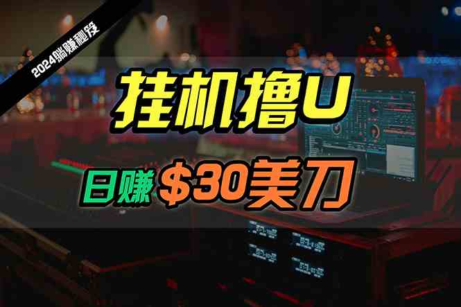 （10013期）日赚30美刀，2024最新海外挂机撸U内部项目，全程无人值守，可批量放大-九零网创