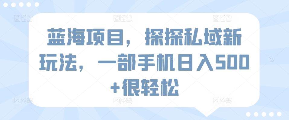蓝海项目，探探私域新玩法，一部手机日入500+很轻松-九零网创