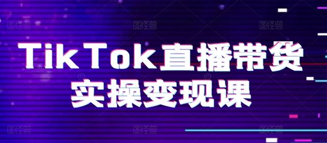 TikTok直播带货实操变现课：系统起号、科学复盘、变现链路、直播配置、小店操作流程、团队搭建等。-九零网创