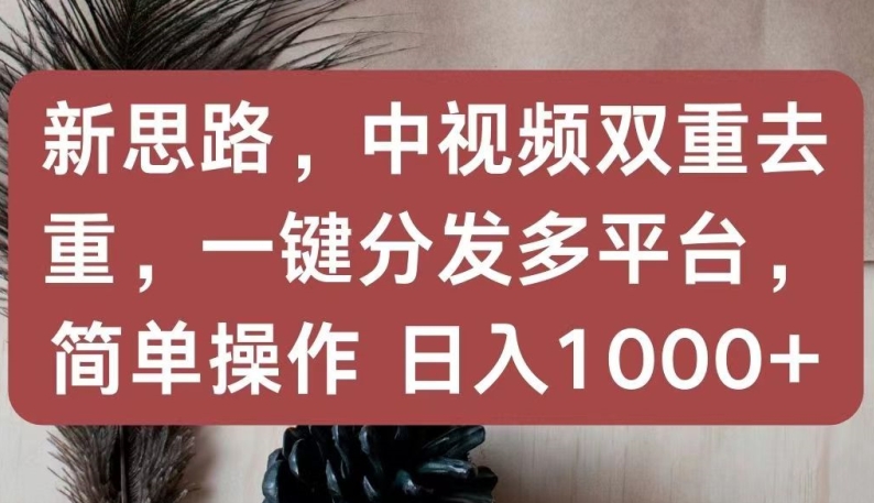新思路，中视频双重去重，一键分发多平台，简单操作，日入1000+-九零网创
