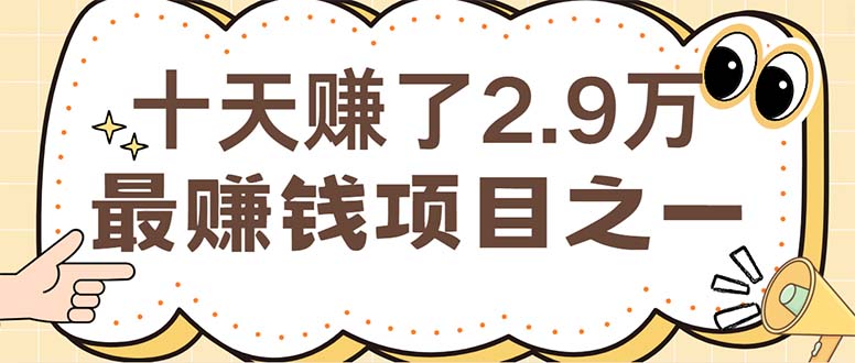 （12491期）闲鱼小红书赚钱项目之一，轻松月入6万+项目-九零网创