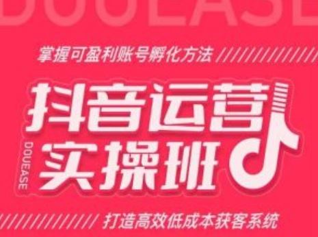 抖音运营实操班，掌握可盈利账号孵化方法，打造高效低成本获客系统-九零网创
