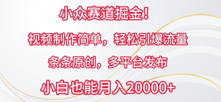 小众赛道掘金，视频制作简单，轻松引爆流量，条条原创，多平台发布-九零网创