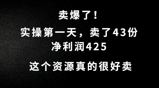 这个资源，需求很大，实操第一天卖了43份，净利润425【揭秘】-九零网创
