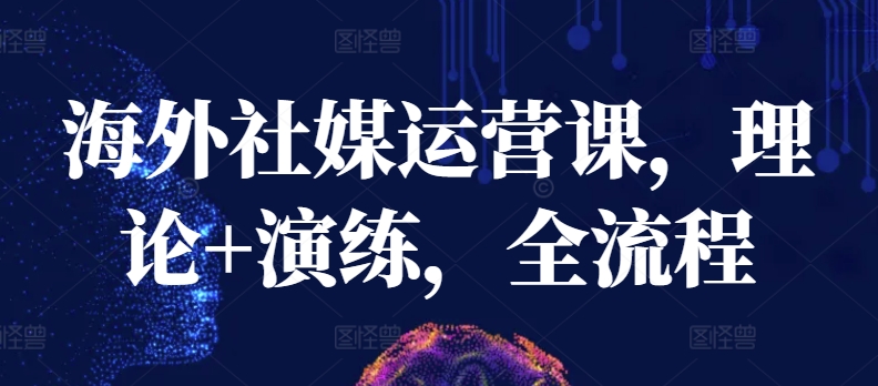 海外社媒运营课，理论+演练，全流程-九零网创