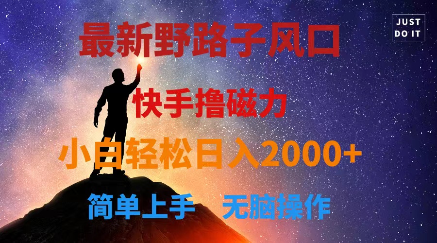 （10754期）最新风口！快手撸磁力，野路子，小白无脑操作日入2000+-九零网创