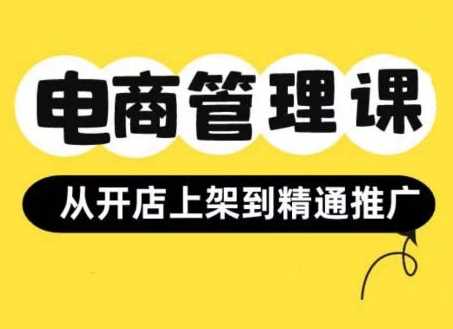 小红书&闲鱼开店从开店上架到精通推广，电商管理课-九零网创