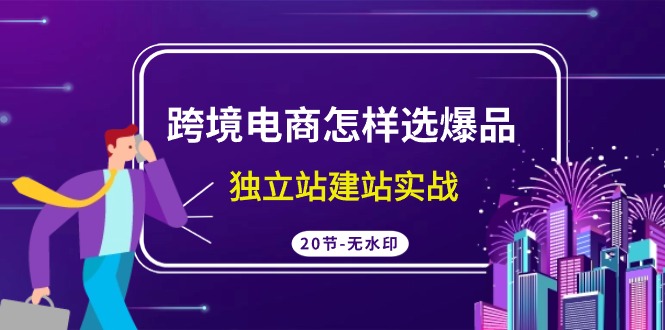 跨境电商怎样选爆品，独立站建站实战（20节高清课）-九零网创