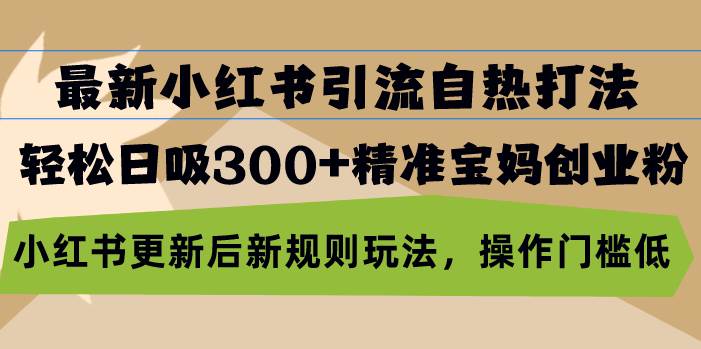 （13145期）最新小红书引流自热打法，轻松日吸300+精准宝妈创业粉，小红书更新后新…-九零网创