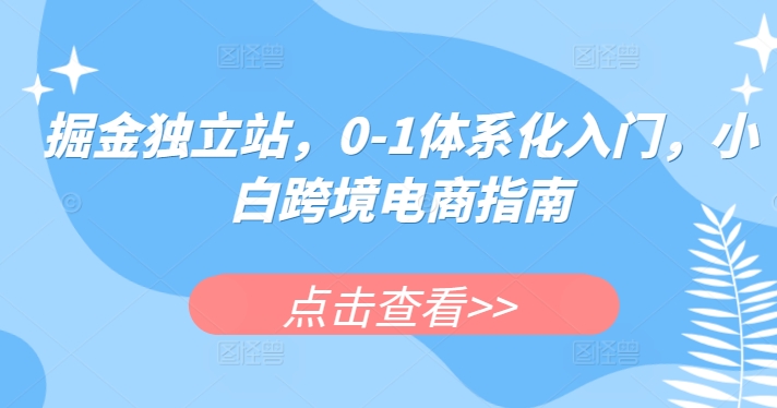 掘金独立站，0-1体系化入门，小白跨境电商指南-九零网创