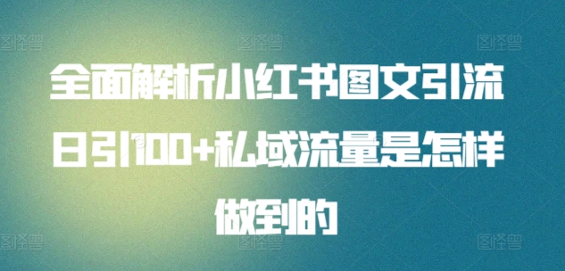 全面解析小红书图文引流日引100+私域流量是怎样做到的-九零网创