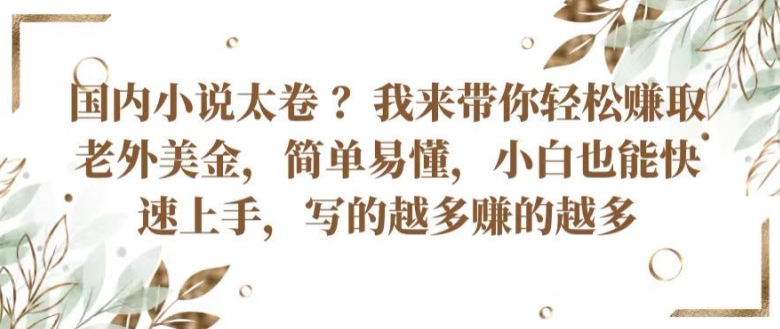 国内小说太卷 ?带你轻松赚取老外美金，简单易懂，小白也能快速上手，写的越多赚的越多-九零网创