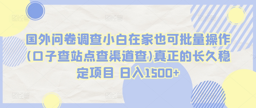 国外问卷调查小白在家也可批量操作(口子查站点查渠道查)真正的长久稳定项目 日入1500+-九零网创