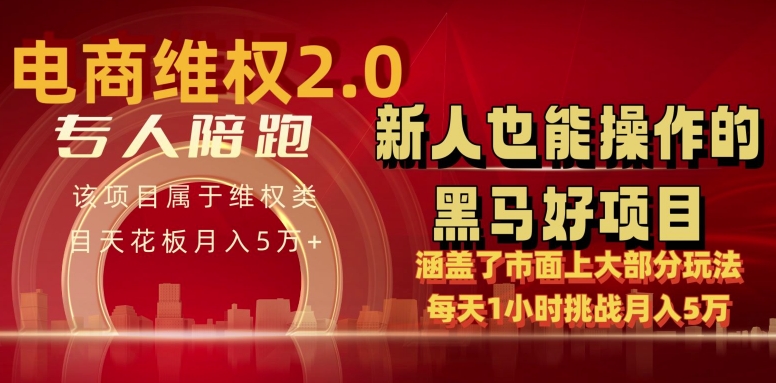电商维权 4.0 如何做到月入 5 万+每天 1 小时新人也能快速上手【仅揭秘】-九零网创