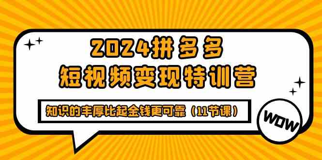 2024拼多多短视频变现特训营，知识的丰厚比起金钱更可靠（11节课）-九零网创