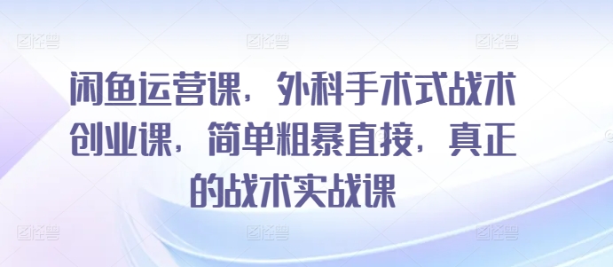 闲鱼运营课，外科手术式战术创业课，简单粗暴直接，真正的战术实战课-九零网创