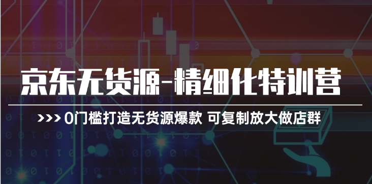 （11303期）京东无货源-精细化特训营，0门槛打造无货源爆款 可复制放大做店群-九零网创