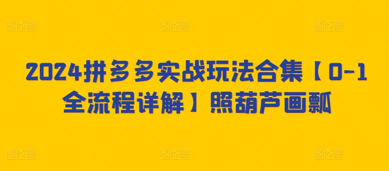 2024拼多多实战玩法合集【0-1全流程详解】照葫芦画瓢-九零网创