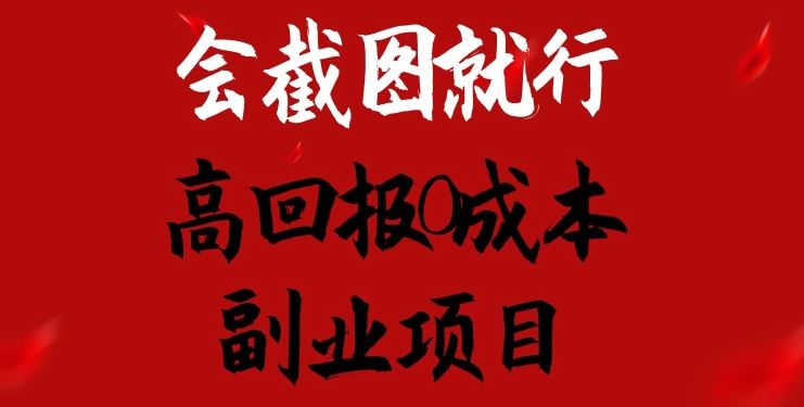 会截图就行，高回报0成本副业项目，卖离婚模板一天1.5k+【揭秘】-九零网创