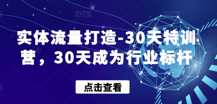 实体流量打造-30天特训营，30天成为行业标杆-九零网创